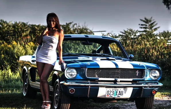 Greens, auto, erotic, the sky, look, girl, Ford
