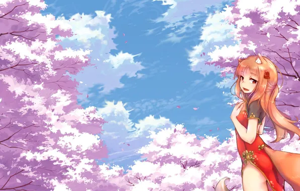 Holo, spice and wolf, Spice and wolf, The Wallpapers