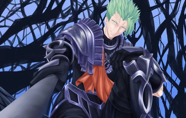 Branches, guy, Lancer, Fate - Apocrypha, Fate Apocrypha