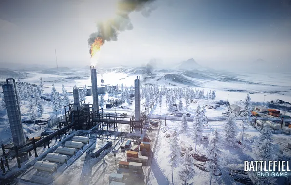 Winter, plant, end game, battlefield3