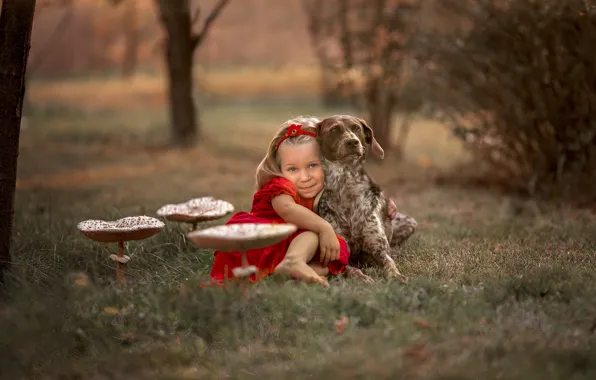 Mushroom, dog, girl