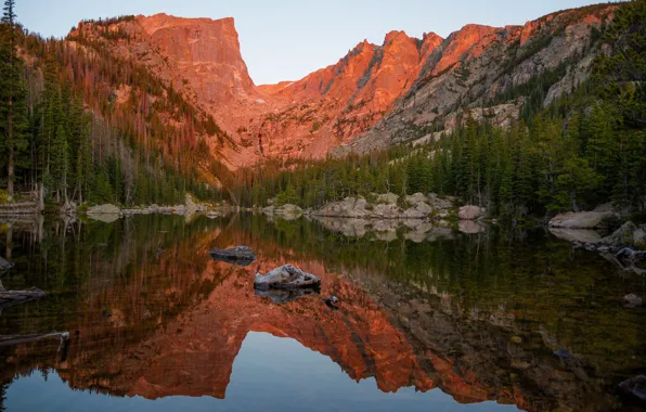 Forest, mountains, lake, reflection, stones, rocks, shore, ate