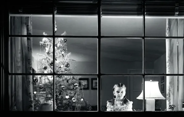 Picture tree, new year, black and white, window, waiting