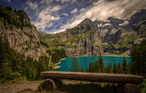 Picture forest, the sky, clouds, trees, mountains, lake, rocks, view