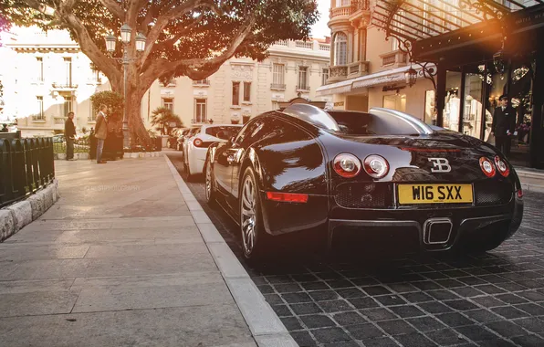 Black, veyron, bugatti, back, monaco, hypercar, 16.4