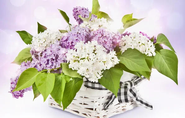 Flowers, spring, lilac