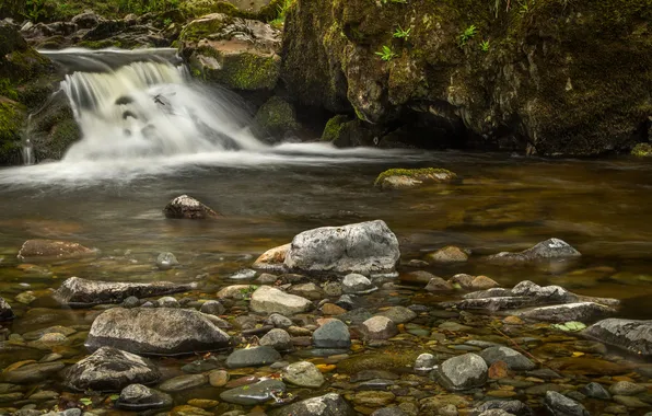 Forest, river, stream, stones, thresholds