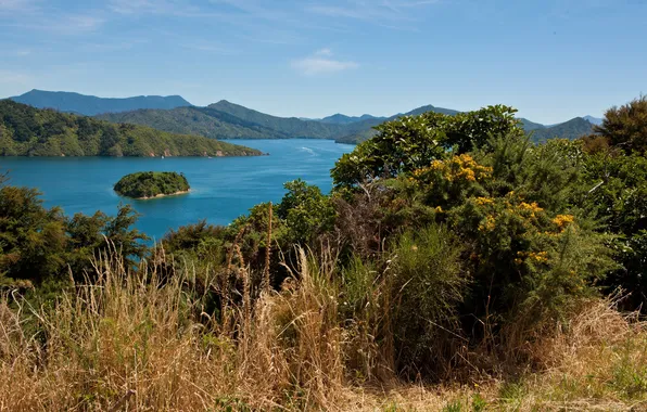 Landscape, nature, river, island, New Zealand, South
