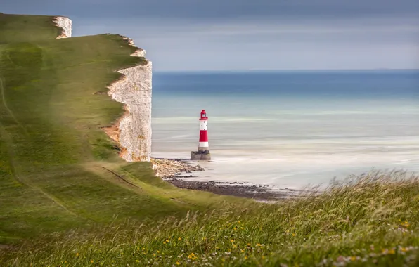 Grass, beach, sky, sea, flowers, horizon, wind, lighthouse