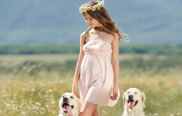 Dogs, girl, smile, chamomile, brown hair, wreath
