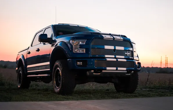Picture Ford, Shelby, Blue, F-150