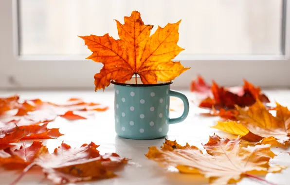 Picture autumn, leaves, background, colorful, mug, maple, yellow, wood