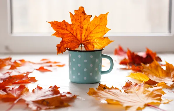 Autumn, leaves, background, colorful, mug, maple, yellow, wood