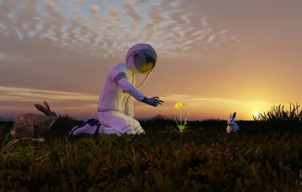 Autumn, leaves, nature, yellow leaves, astronaut, October, rabbit, cute