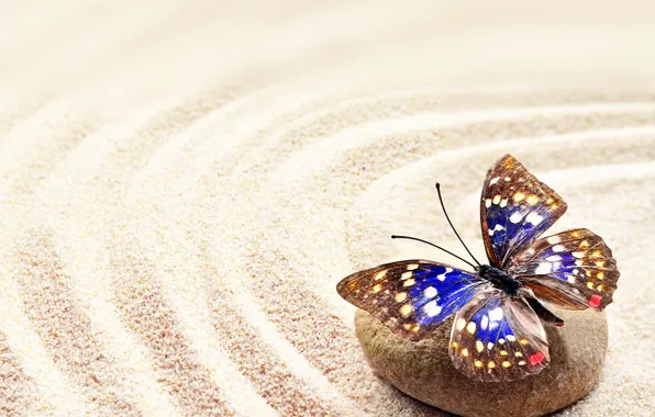 Sand, stones, butterfly, stone, butterfly, sand
