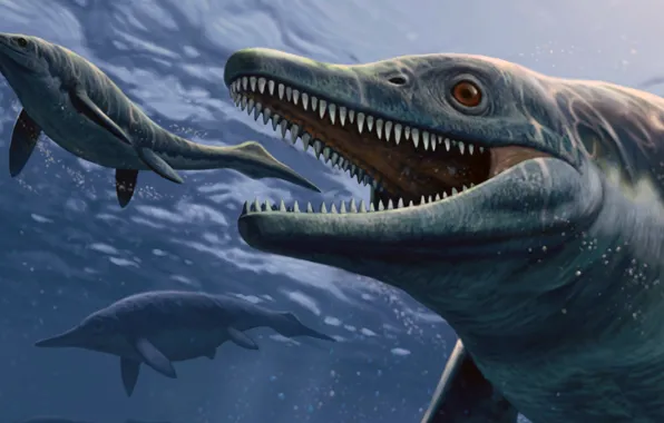 Picture figure, art, Prehistoric sea monster, Thalattoarchon Saurophagis, species of ichthyosaurs, Calatoare