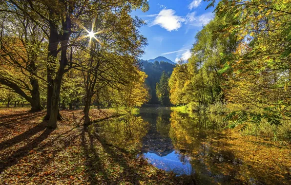Picture autumn, forest, the sky, water, the sun, clouds, light, mountains
