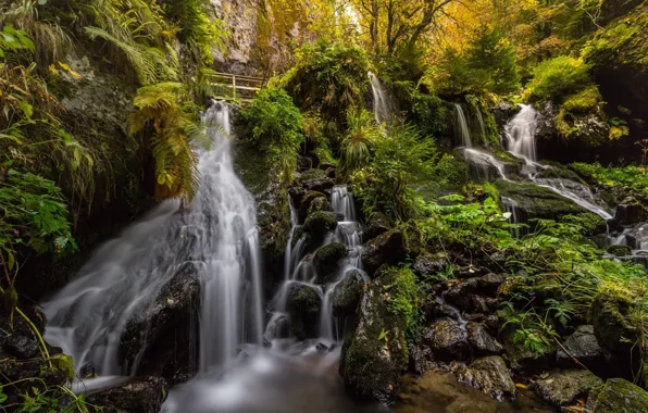 Nature, waterfall, stream
