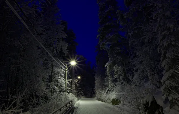 Picture landscape, night, winter, Guided by The Stars
