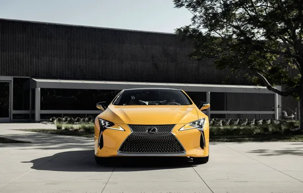 Lexus, front view, LC 500, 2019, Inspiration Concept