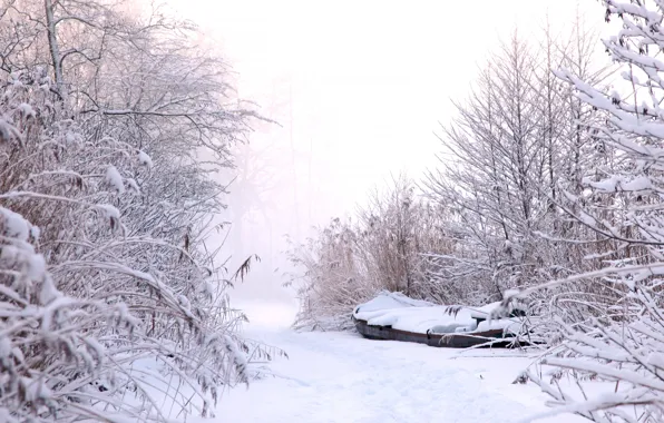 Winter, frost, the sky, snow, branches, nature, fog, boat