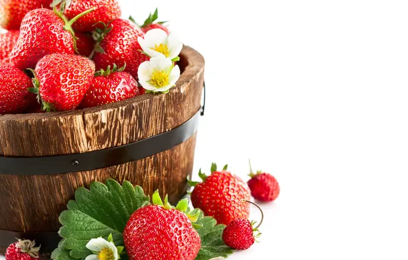 Picture flowers, berries, foliage, strawberries, strawberry, barrel, flowers, leaves
