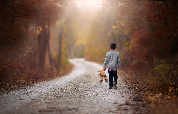 Picture road, autumn, the way, toy, boy