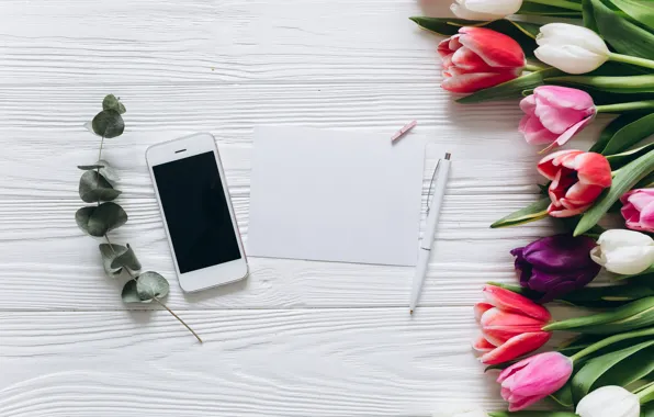 Flowers, colorful, tulips, pink, white, iphone, white, fresh