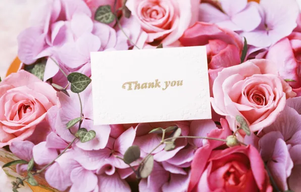 Picture flowers, roses, bouquet, flowers, thank you, bouquet, roses, cards