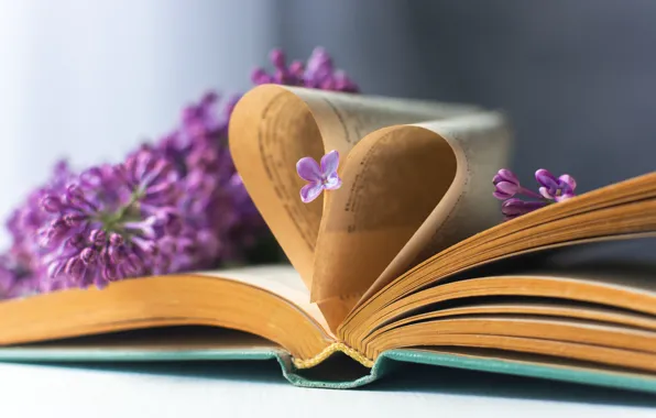 Picture book, flowers, page, lilac