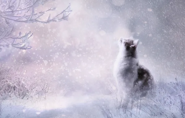 Picture winter, cat, cat, look, snow, pose, rendering, the snow
