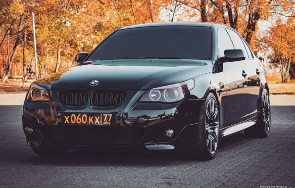 Black, BMW, BMW, Armenia, E60, 550i, Bimmer, Yerevan