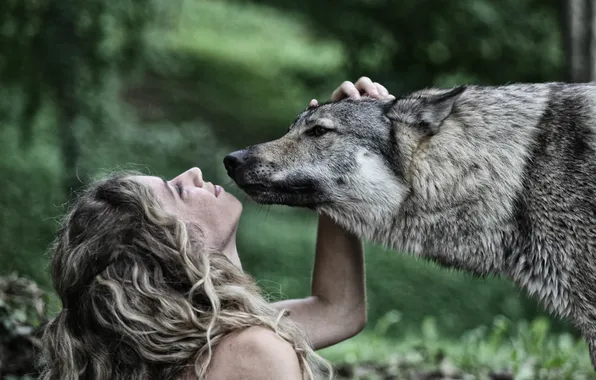 Picture look, girl, wolf, friendship