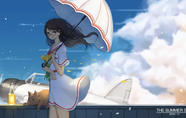 Cat, summer, girl, lemonade