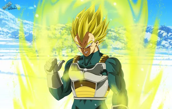 Guy, Dragon Ball, Dragonball