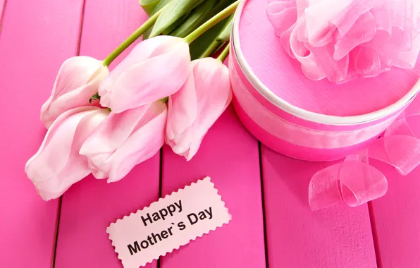 Flowers, gift, colorful, tape, tulips, flowers, tulips, gift
