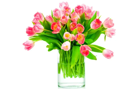 Bouquet, tulips, love, fresh, pink, flowers, romantic, tulips