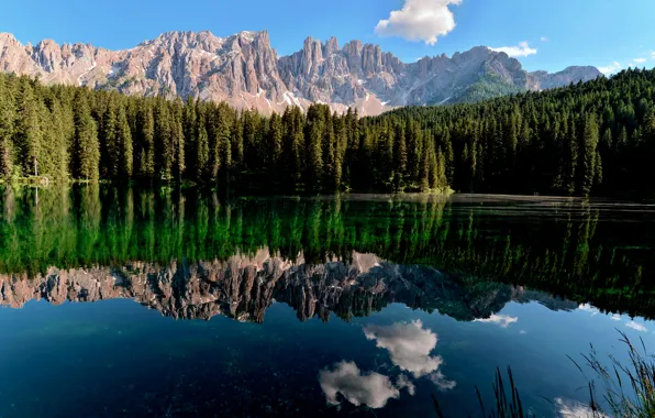 Forest, landscape, mountains, nature, lake, reflection