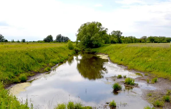 The sky, grass, trees, river