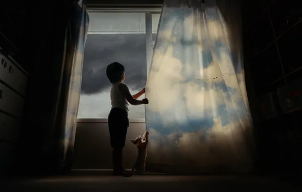 The storm, cat, the sky, clouds, birds, clouds, darkness, rendering