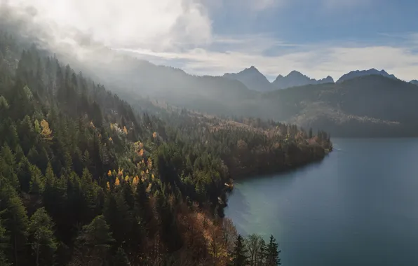 Water, fog, beauty, Morning, space, haze, forest, Mountain lake