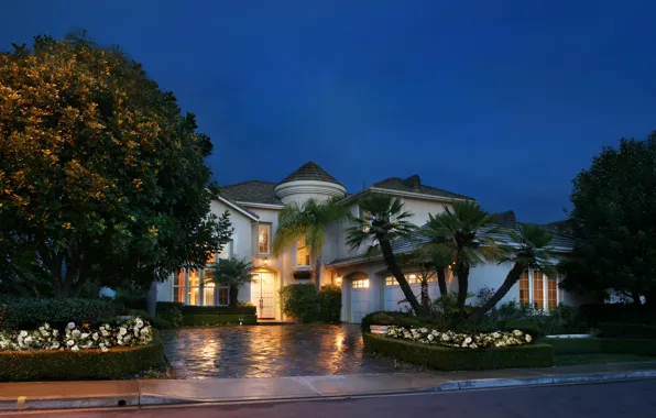Trees, flowers, night, design, lights, house, palm trees, street