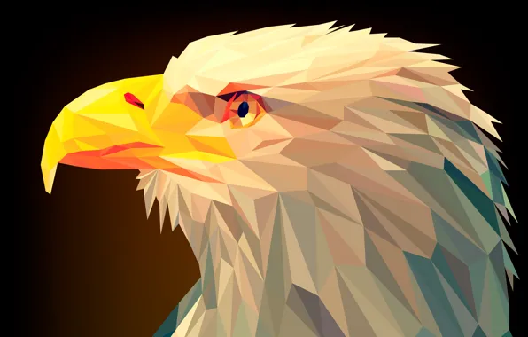 Bird, triangles, beak, eagle, bald eagle