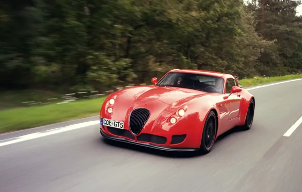Road, Forest, Wiesmann GT MF5, The Contours Of Power