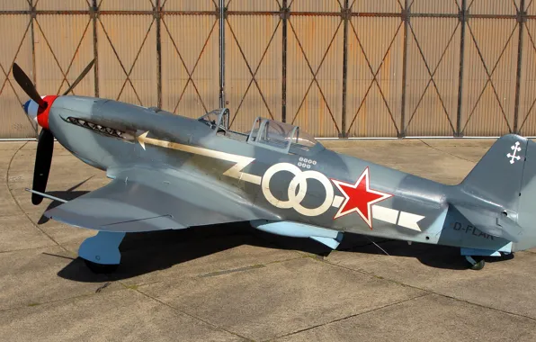 Picture fighter, Soviet, single-engine, The Yak-3, Yak-3