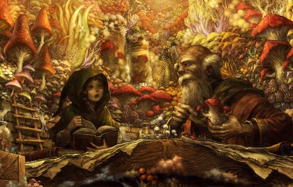 Girl, mushrooms, books, art, ladder, the old man, Dragon's Crown