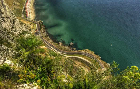 Road, sea, nature, palm trees, rocks, coast, Gibraltar, Gibraltar