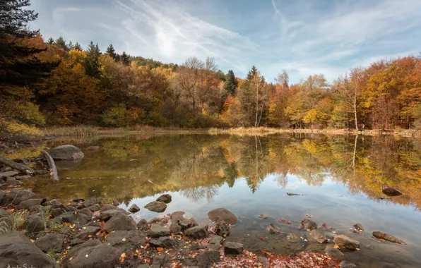 Autumn, forest, trees, landscape, nature, lake, reflection, stones