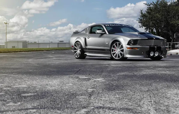 Picture Mustang, Ford, muscle car, silvery, kit, 550R
