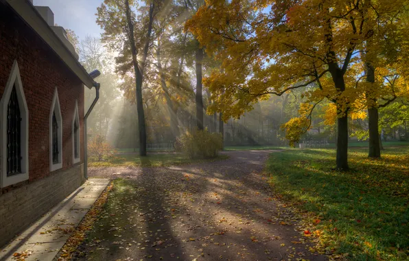 Autumn, leaves, the sun, rays, nature, the building, shadow, Gordeev Edward
